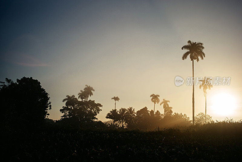 Vinales valley & las Terrazas(古巴)